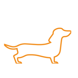 Ração para Cães Pequenos